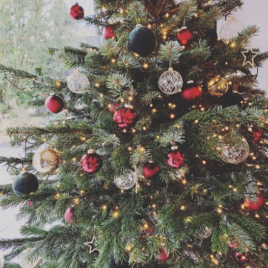 Frohe Weihnachten Frohe Weihnachten